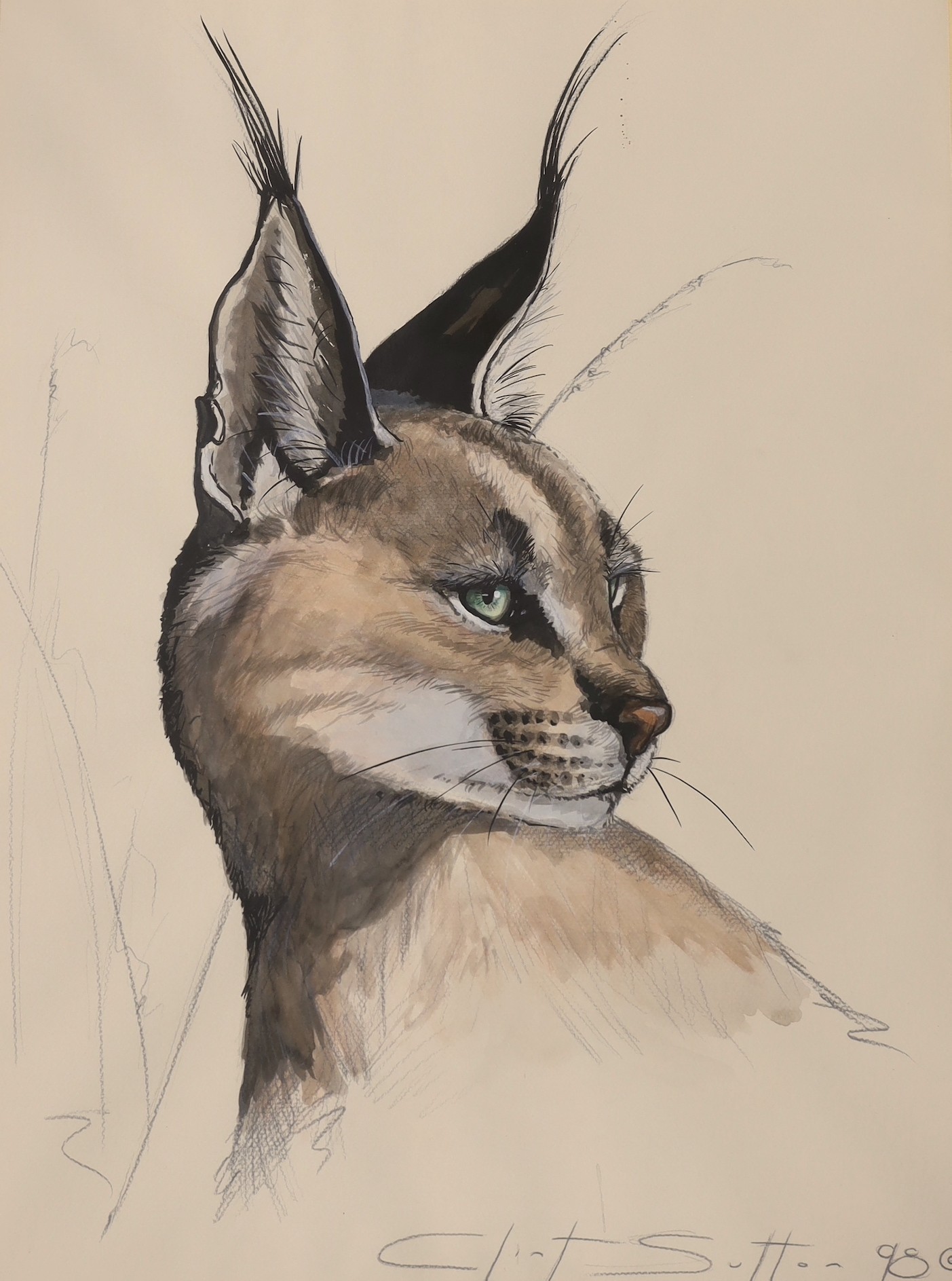 Clint Sutton, contemporary, two watercolours, Jaguar and Lynx, both signed and dated ‘90, largest 59 x 44cm